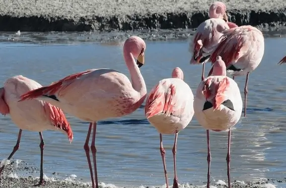 4D3N ATACAMA, UYUNI SALT FLAT, ATACAMA